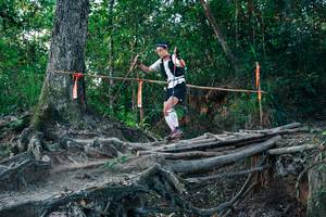 BIB: 
                            <button type="button" onclick="openModal(27542544)" class="btn btn-primary btn-sm float-right btn-popup" data-toggle="modal" data-target=".modal-high-quality">
                        <i class="fas fa-shopping-cart"></i> Add to Cart
                    </button>
                                            <button type="button" onclick="isThisMe(27542544, true)" class="btn btn-success btn-sm float-right btn-popup btn-isme hidden" data-toggle="tooltip" data-placement="bottom" title="นี่คือรูปของคุณใช่ไหม คลิกที่นี่เพื่อเอาเข้าอัลบั้ม">
                        <i class="fas fa-plus"></i> Add to album
                    </button>
                    <button type="button" onclick="isThisMe(27542544, false)" class="btn btn-warning btn-sm float-right btn-popup btn-isnotme hidden">
                        <i class="fas fa-ban"></i> Remove from album
                    </button>